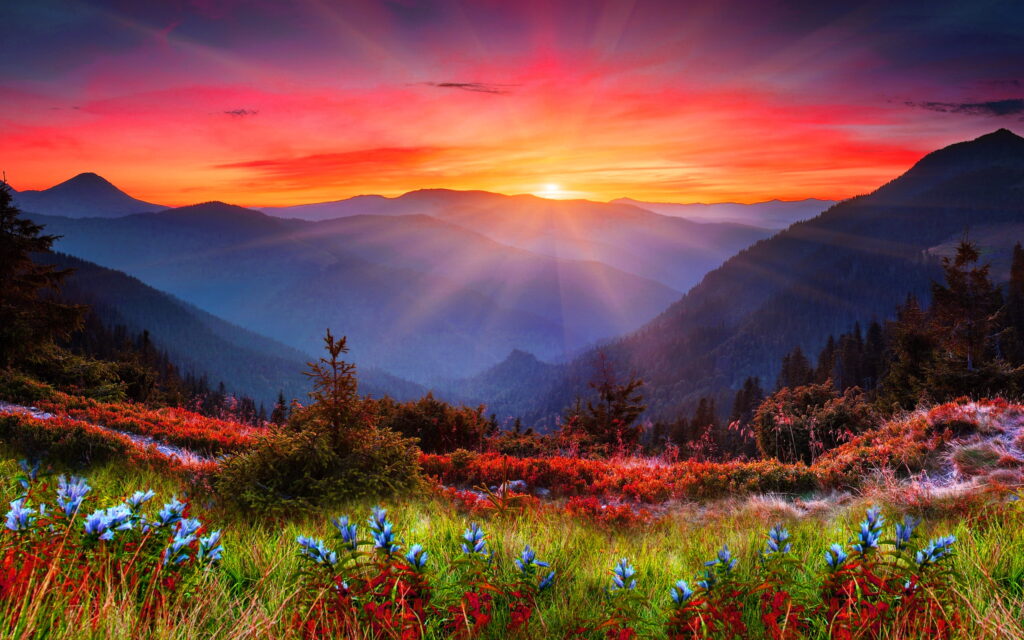 lotf sunset